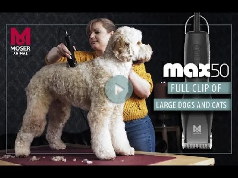 Tondeuse pour animaux Max 50 MOSER