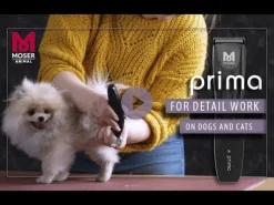 Tondeuse pour animaux Rex Mini MOSER