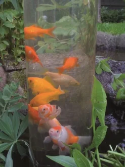 Tour à poisson 100 cm