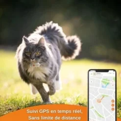 Traceur GPS pour chat Weenect XS (White Edition 2023)