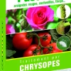 Traitement par chrysopes contre les pucerons 50m²