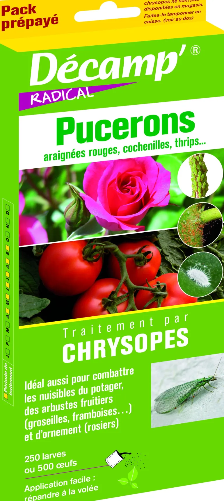 Traitement par chrysopes contre les pucerons 50m²
