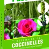 Traitement par coccinelles contre les pucerons (- de 1,50m)