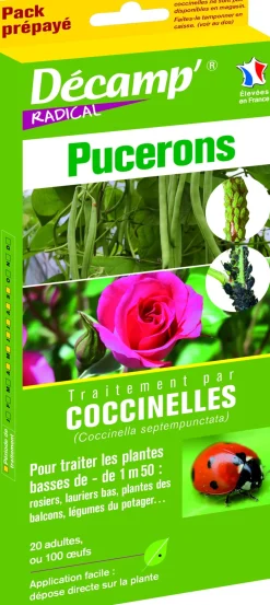 Traitement par coccinelles contre les pucerons (- de 1,50m)