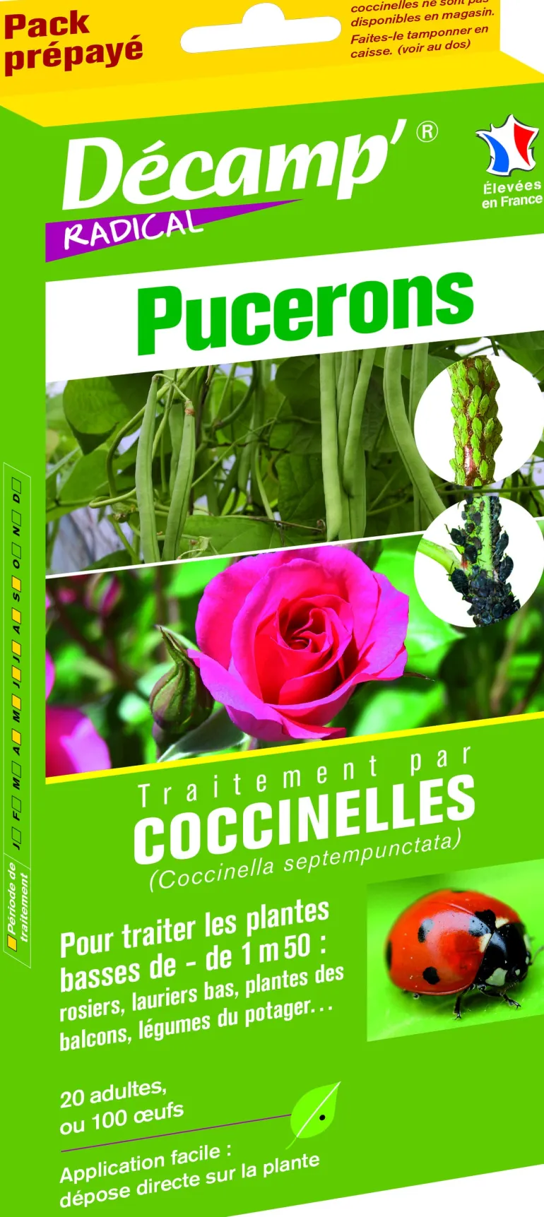 Traitement par coccinelles contre les pucerons (- de 1,50m)