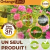 Traitement Total Oriange 3 en 1 ornemental 200ml SOLABIOL