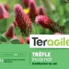 Trèfle incarnat 500g