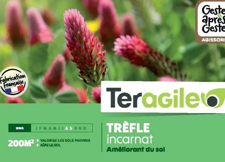 Trèfle incarnat 500g