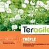 Trèfle blanc nain 500g