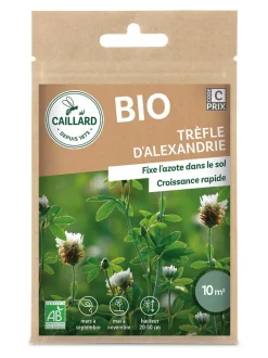 Trèfle D'Alexandrie Bio 10g CAILLARD