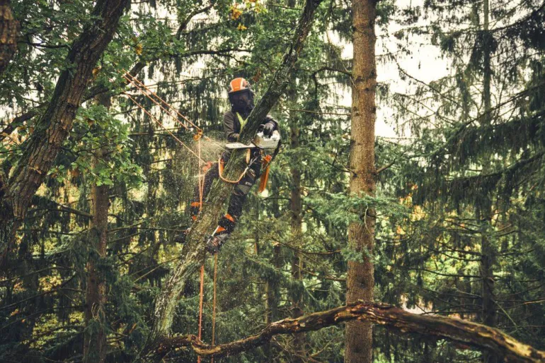 Tronçonneuse à batterie MSA220 T 30cm (produit seul) STIHL