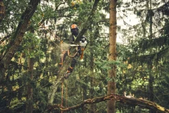 Tronçonneuse à batterie MSA220 T 35cm (produit seul) STIHL