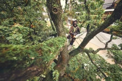 Tronçonneuse à batterie MSA220 T 35cm (produit seul) STIHL