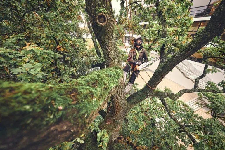 Tronçonneuse à batterie MSA220 T 35cm (produit seul) STIHL