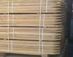 Tuteur acacia 25x25 mm 1,8m