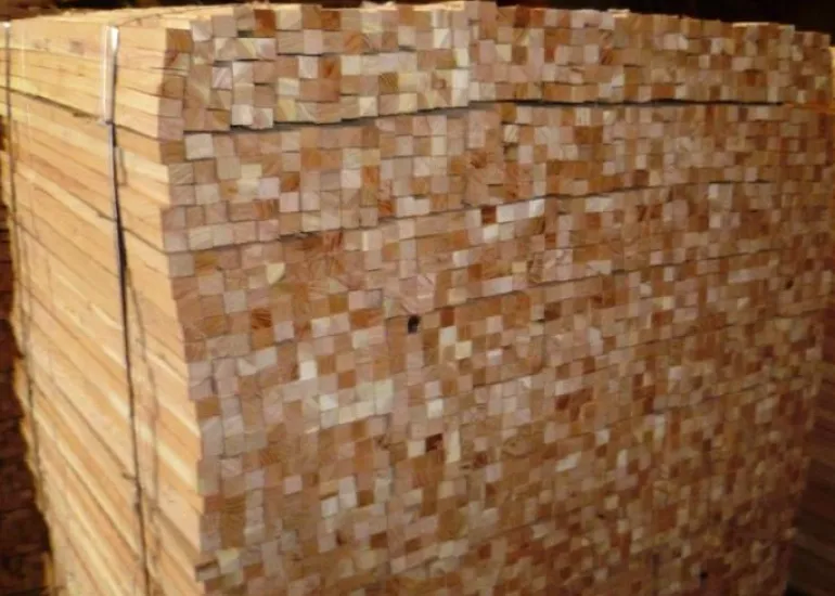 Tuteur acacia 25x25 mm 1,5m