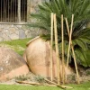 Tuteur bambou déco 2,40m Ø80-90mm NORTENE