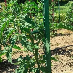 Tuteur 180cm Vert Jardin + 4 attaches
