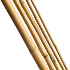 Tuteur en babou naturel H60 cm Ø6/8 mm (x10)