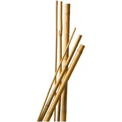 Tuteur en babou naturel H90 cm Ø8/10 mm (x7)