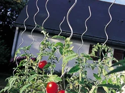 Tuteur spirale à tomates NORTENE - Vendu à l'unité