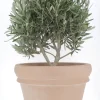 Vase Doppio Bordo terre rosée Ø62cm 89L DEROMA