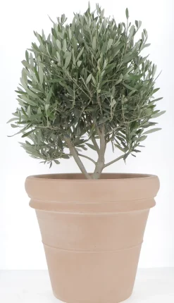 Vase Doppio Bordo terre rosée Ø62cm 89L DEROMA