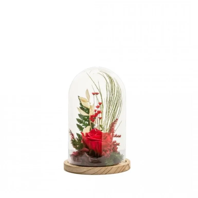 Verrine Cloche Stabilisé M Mix - Rouge NATURALYS