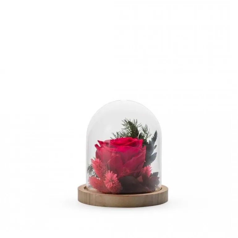 Verrine Cloche Stabilisé S Mix Rouge NATURALYS