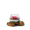 VERRINE STAB - Amazonia - Rouge NATURALYS