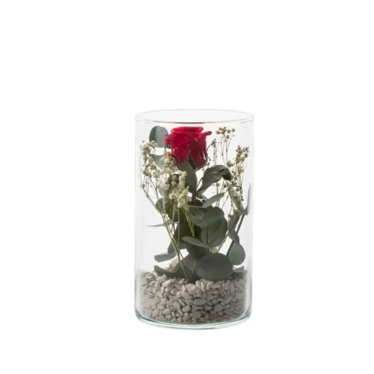 Verrine Tube S Ø15,5cm- Rose rouge et eucalyptus
