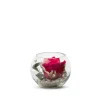 Verrine Venezia Ø11cm - Rose rouge et eucalyptus