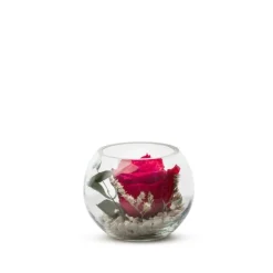 Verrine Venezia Ø11cm - Rose rouge et eucalyptus