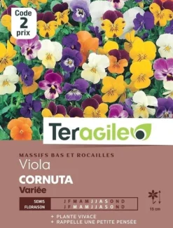 Viola Cornuta Variée 0,5g TERAGILE