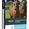 Youngstock Cubes 20 kg DODSON & HORRELL