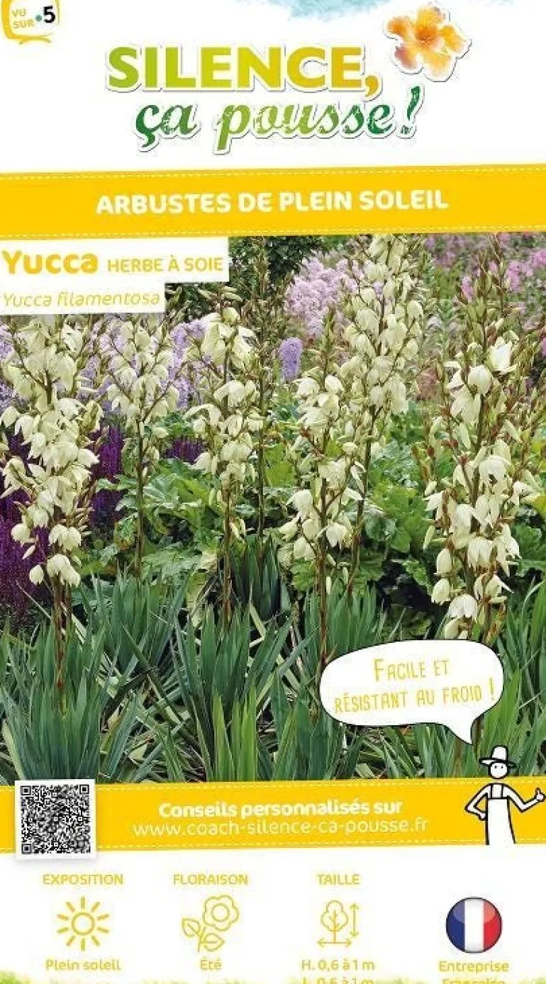 Yucca herbe à soie Pot 10L SILENCE ÇA POUSSE
