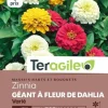Zinnia Géant à Fleur de Dahlia Varié 2g TERAGILE