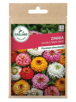 Zinnia Double Nain varié 2g CAILLARD