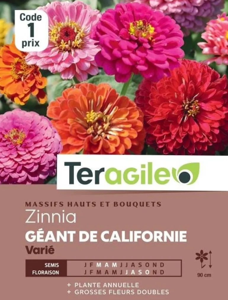 Zinnia Géant de Californie Varié 2g TERAGILE